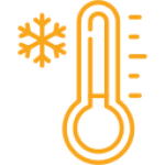 Resistentes a geadas e baixas temperaturas.